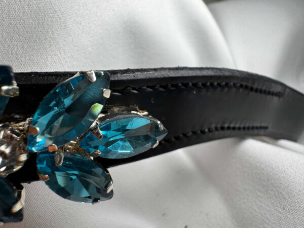 frosted aqua browband rear