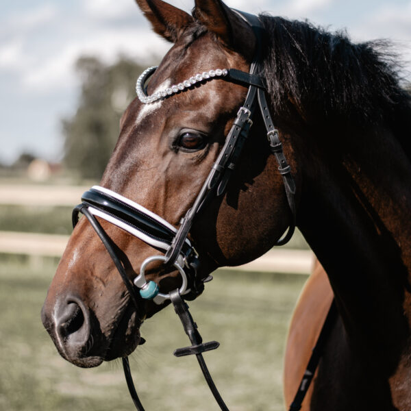 horse-bridle-vanta-prestige