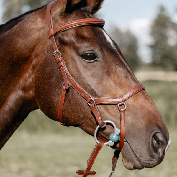horse bridle velarc brown