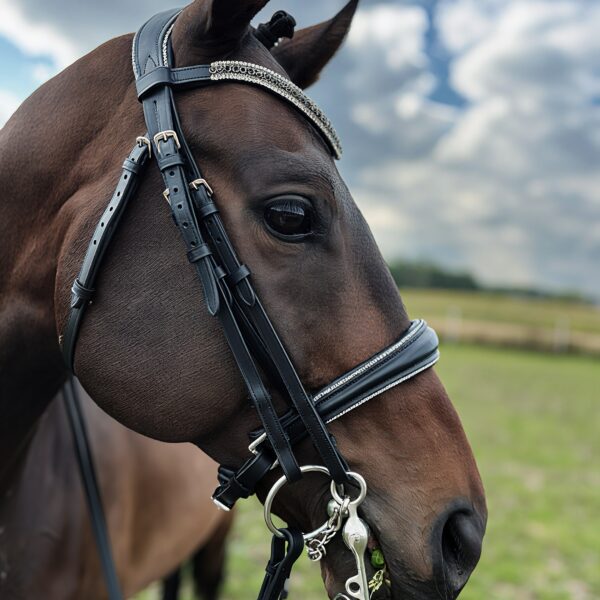 Etoile Amour horse browband black