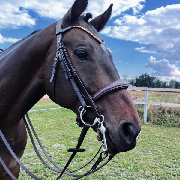 revolver horse double-bridle body